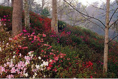 《暗黑破坏神4》野蛮人职业介绍预告片公布